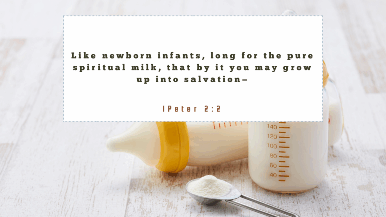 Landscape Canyon Blog Banner (70)